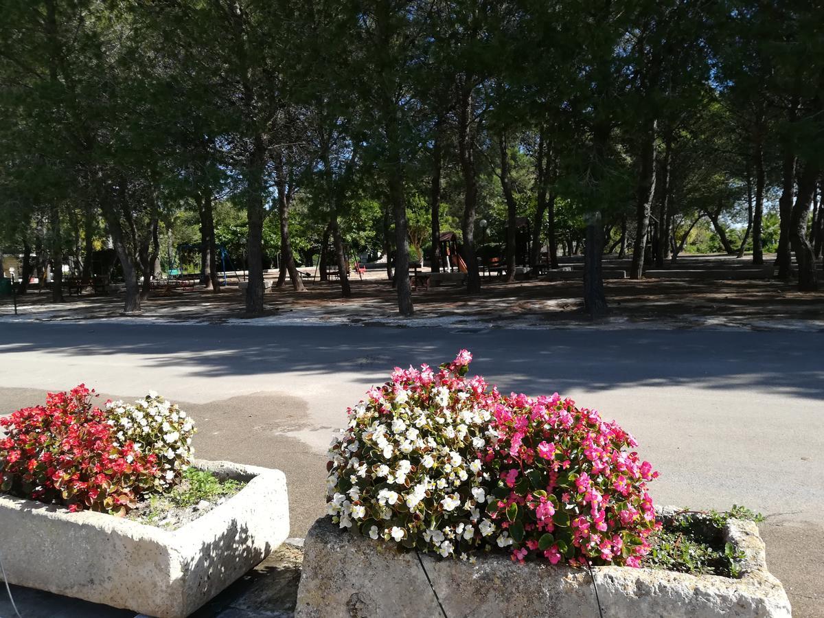 Agriturismo Torrevecchia Сан Панкрацио Салинтино Екстериор снимка
