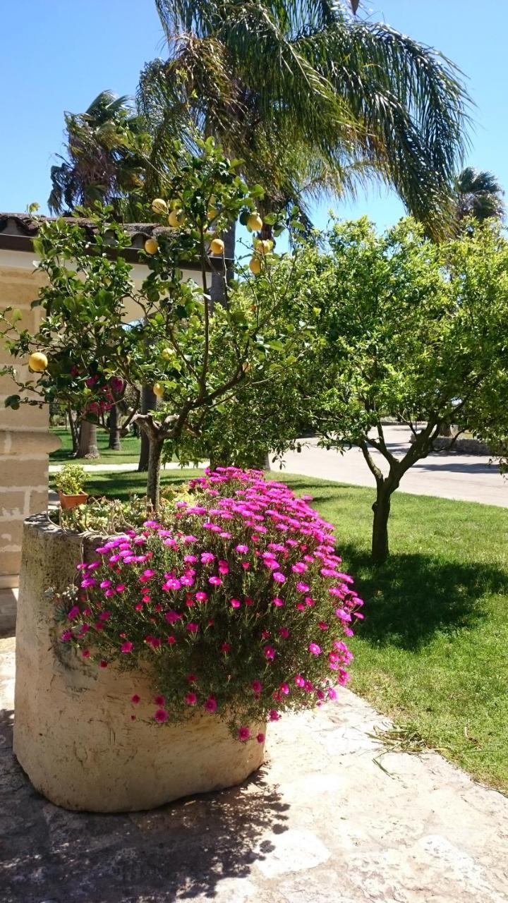 Agriturismo Torrevecchia Сан Панкрацио Салинтино Екстериор снимка