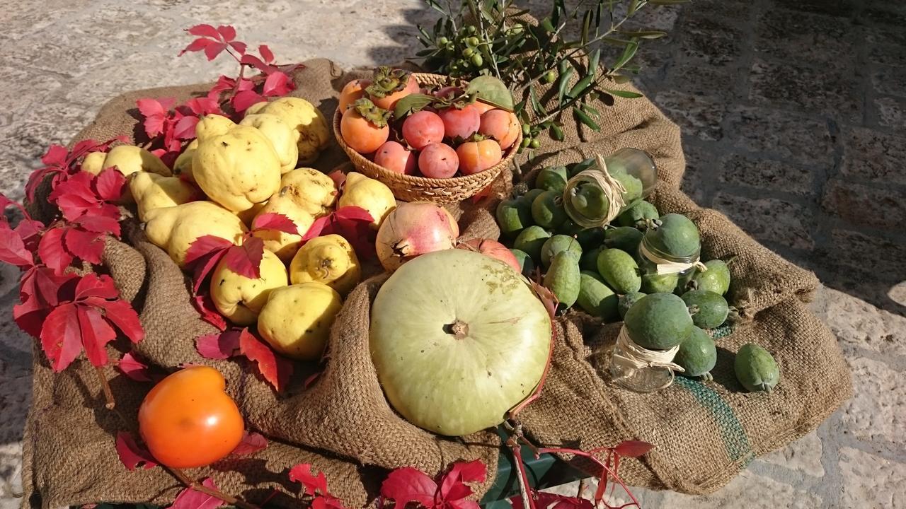 Agriturismo Torrevecchia Сан Панкрацио Салинтино Екстериор снимка